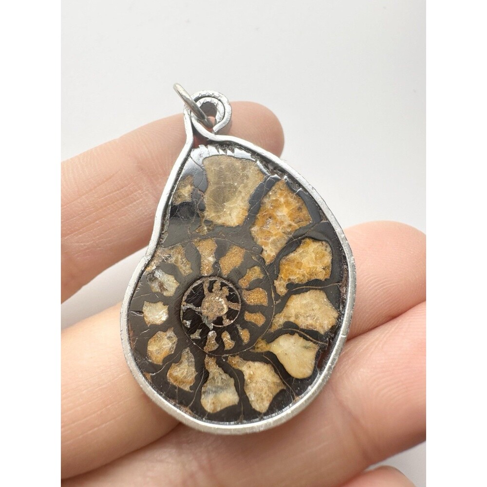 Natural Ammonite Slice Pyrite Fossil Pendant